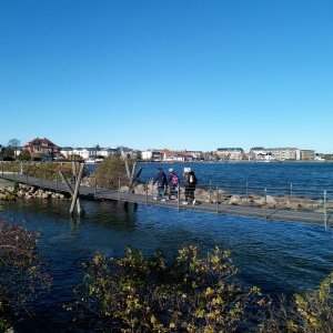 Svanemøllen