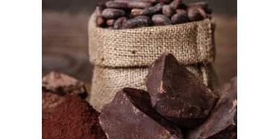 Pods of beans - à la découverte du cacao