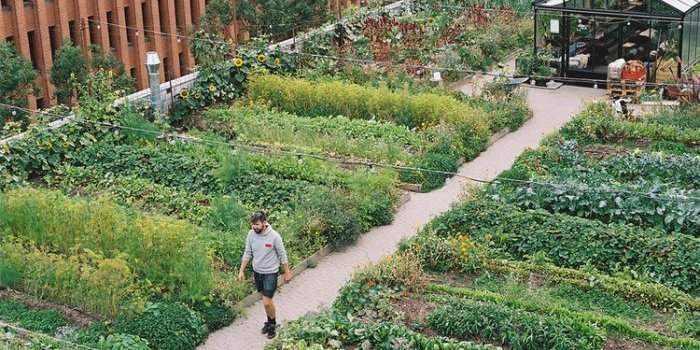 NaTur i Byen - Visite d'une ferme urbaine