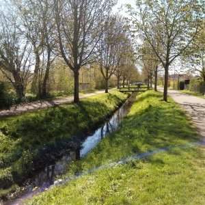 De Gentofte et son lac vers Fælledparken