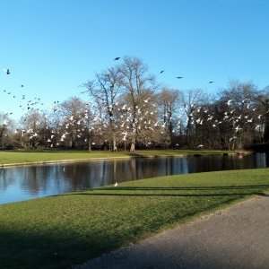 La voie verte et le parc de Frederiksberg 