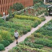 NaTur i Byen - Visite d'une ferme urbaine