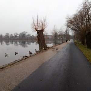 Le long de la rivière Harrestrup