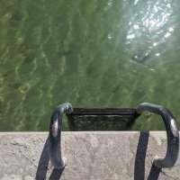 Tous à l'eau ! Plouf, bain de soleil et déjeuner à Reffen