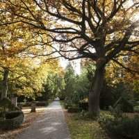 Visite guidée du Cimetière Assistens Kierkegaard