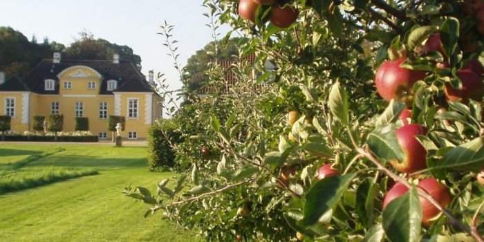 Venez cueillir des pommes au château !