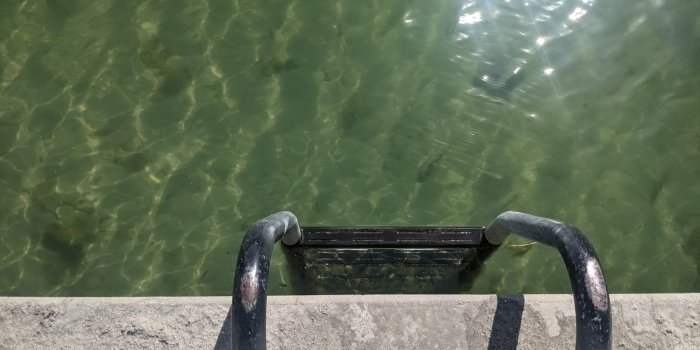 Tous à l'eau ! Plouf, bain de soleil et déjeuner à Reffen