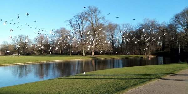 La voie verte et le parc de Frederiksberg 